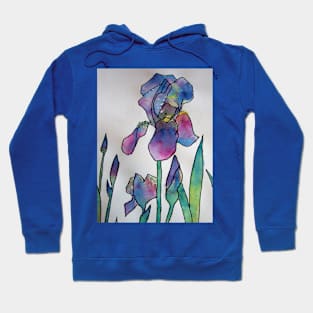 Purple Rainbow Iris Watercolor Painting Hoodie